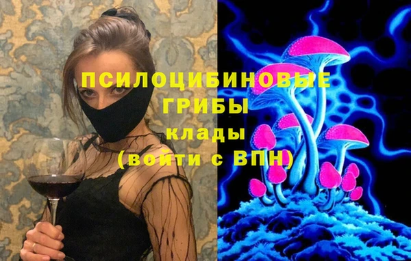 метадон Белокуриха